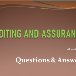 Auditing and Assurance Revision Questions and Answers