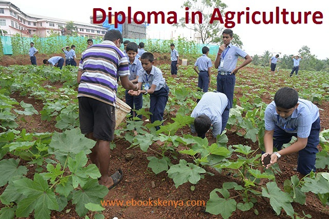Diploma in Agriculture notes and Past Papers