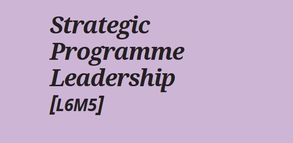 L6M5: Strategic Programme Leadership